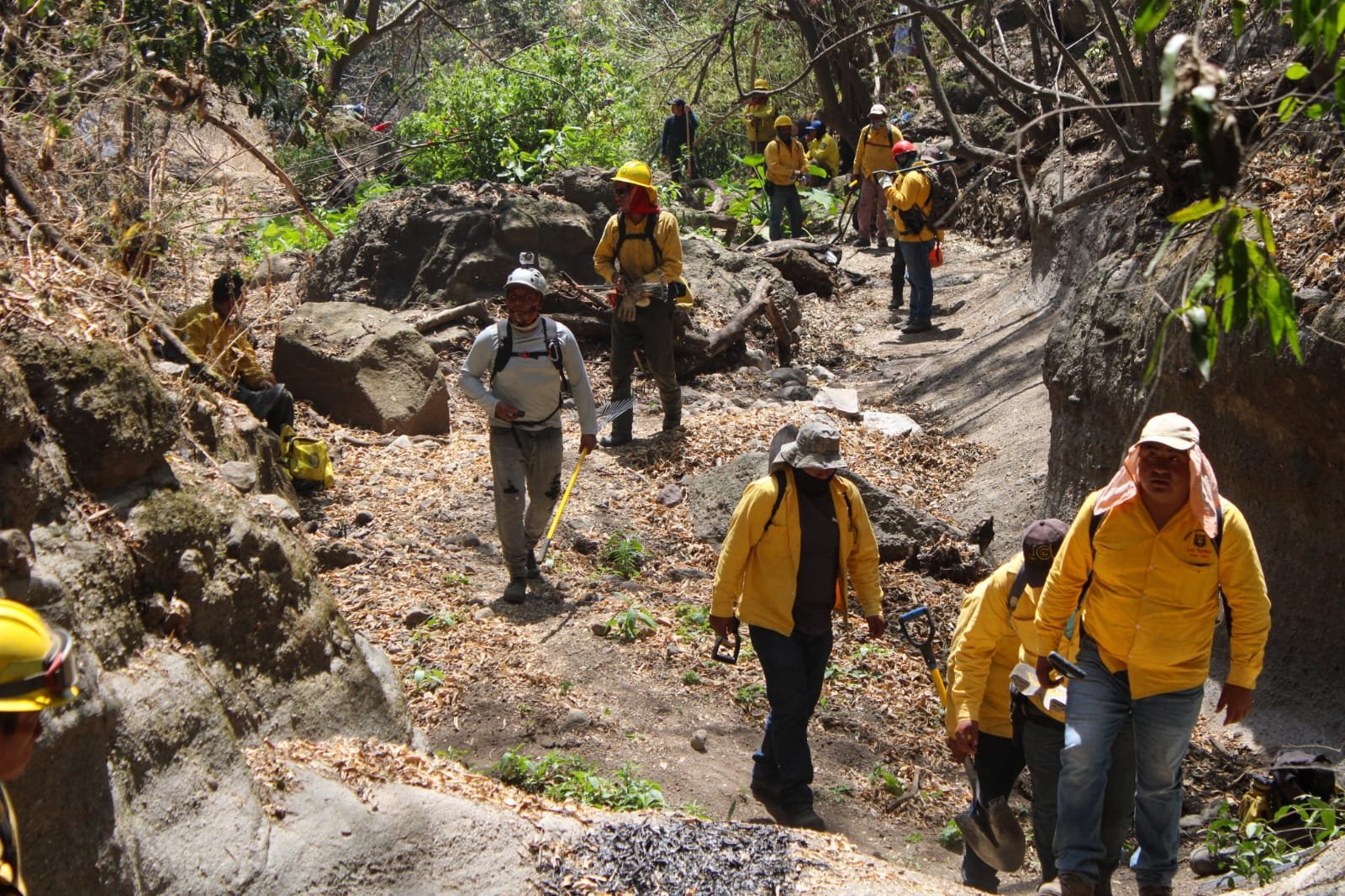 Incendio En Cerro Tlatoani En Tlayacapan Al De Control Y De