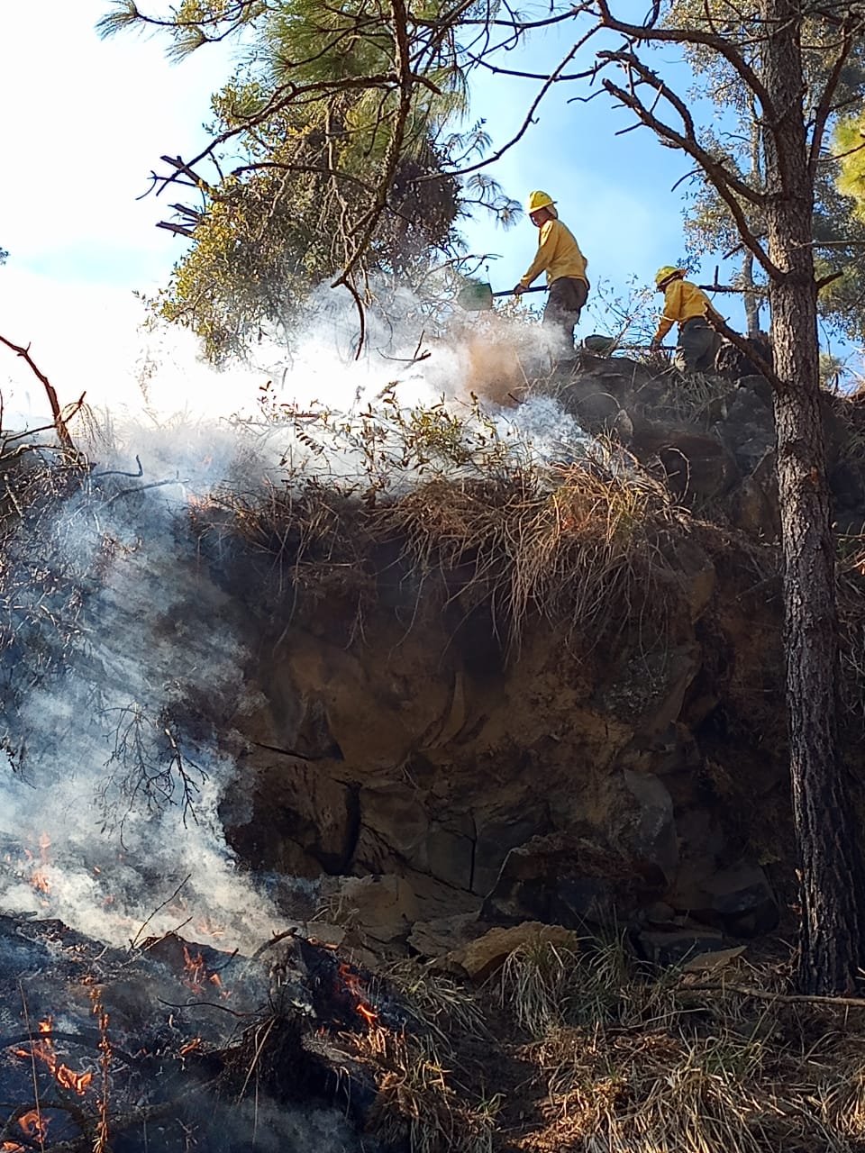 Mando Unificado atendió y sofocó incendio forestal en el Cerro de ...